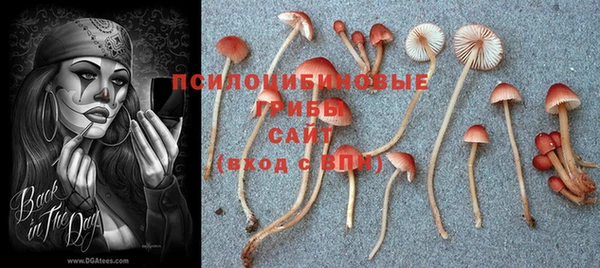 тгк Пересвет