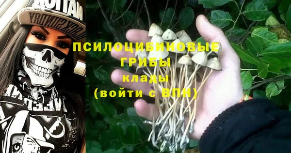 тгк Пересвет