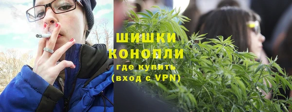 тгк Пересвет