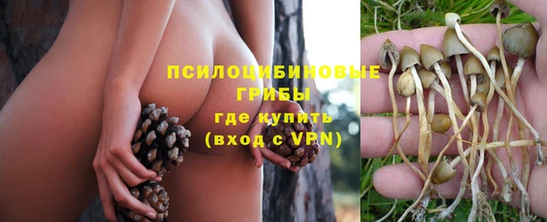 тгк Пересвет