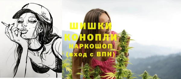 тгк Пересвет