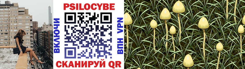 Псилоцибиновые грибы GOLDEN TEACHER  сайты даркнета состав  Мещовск 